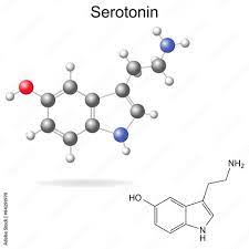 serotonin stock vector adobe stock