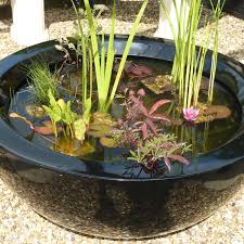 Container Pond Ideas And Planting