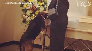 Do you send flowers when someone's dog dies. Why The Death Of A Pet Can Feel Worse Than Losing A Human Loved One People Com