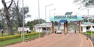Image result for mumias sugar company
