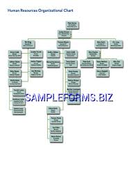 Preview Pdf Ics Organizational Chart 1 2