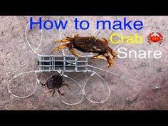 The picture above was one of the snares we used initially when we first started crabbing. 17 Crabbing Ideas Crab Snare Dungeness Crab