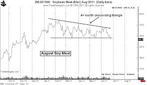 Soybean Meal Completes Major Chart Top Peter Brandt