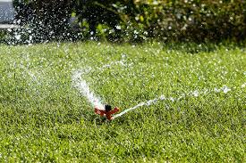 How To Help Your Yard Battle The Heat Hsa