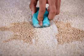 remove old stains from carpet