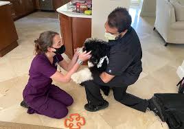 The pet care clinic of doral was established in 1986 and has been serving the miami and doral area ever since. Mobile Pet Clinic For At Home Vet Care Miami Mvs Pet Care House Calls