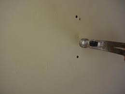 how to repair drywall nail pops do it
