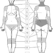 🚨🚨🚨 want to be a vip and see more stuff before everyone else? Illustration Of The 51 Regions And 14 Body Parts On The Female Body Download Scientific Diagram