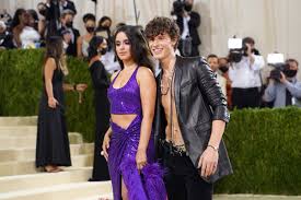 shawn mendes and camila cabello post