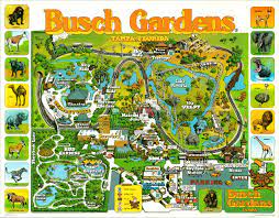 busch gardens ta florida curtis