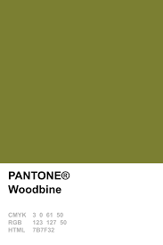 Pantone 2015 Woodbine In 2019 Pantone Pantone Swatches