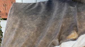 remove mold growth from your mattress