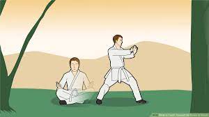 teach yourself the basics of karate