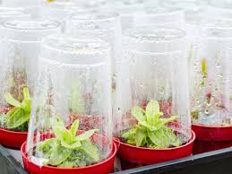 There are various online sources to get these systems, which can cost around $500 or more, but you can build your own tower garden for much less. Diy Mini Greenhouse Ideas How To Make A Mini Greenhouse Indoors