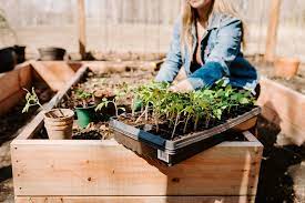 Complete Raised Bed Gardening Guide For