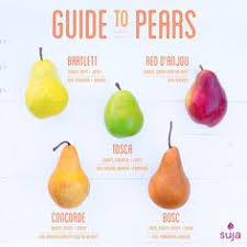 28 Best Pear Varieties Images Pear Varieties Pear Fruit