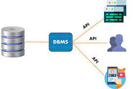 what is dbms database management