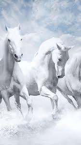 750x1334 white horses hd iphone 6