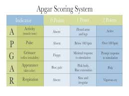 Apgar Score Care Of Newborn Ppt