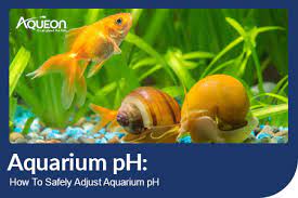 aquarium ph how to safely adjust ph