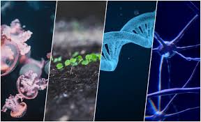 The Bioengineering Technologies to Look Out for in the Next Decade – The Wire Science