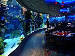This Themed Restaurant in Nashville Will Transform Your Dining Experience |  Public aquarium, Kids restaurants, Dining experiences gambar png
