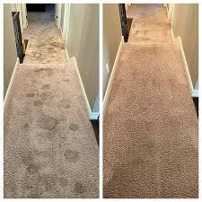 1 for carpet cleaning in spring hill