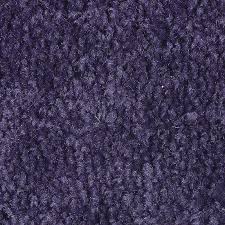 mohawk weston hill 485 persian violet