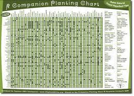 Companion Planting Chart Garden With