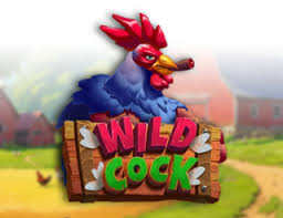 Wild Cock Demo ▷ Play Free Slot Game