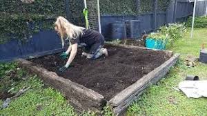 preparing an overgrown vegetable patch