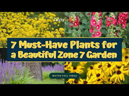 Zone 7 Garden Gardening