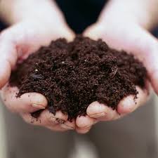 What Is Acidic Soil?