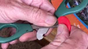 how to sharpen dog and cat clippers