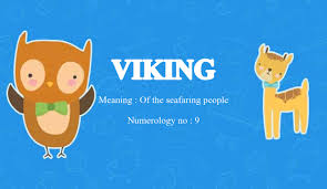 viking name meaning