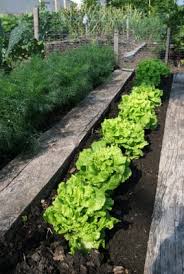 Organic Garden Soil Use Organic