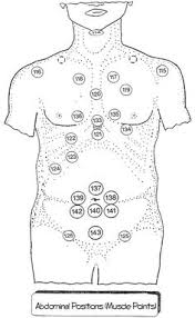 List Of Cupping Therapy Points Chart Image Results Pikosy