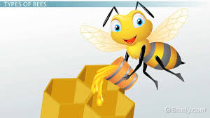 life cycle of a bee lesson for kids