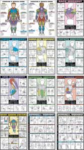 Fitnus Chart Flip Chart 12 Posters In 1 Book
