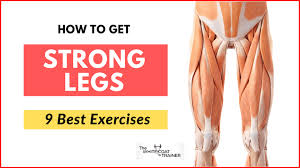 how to get strong legs 9 best