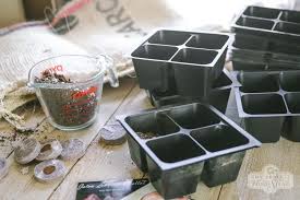 How To Disinfect Seed Trays The
