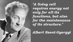 Albert Szent-Gyorgyi&#39;s quotes, famous and not much - QuotationOf . COM via Relatably.com