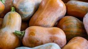 How can you tell when a Honeynut squash is ripe?
