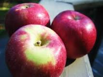 What color are McIntosh apples?