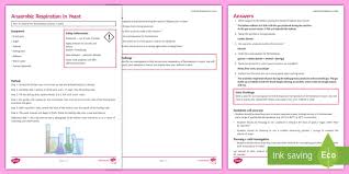 Anaerobic Respiration In Yeast