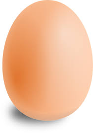 Image result for egg drop 