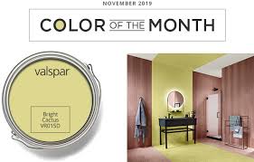 Color Of The Month 1119 Ace Hardware