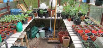 Diseases By Spring Cleaning Your Greenhouse
