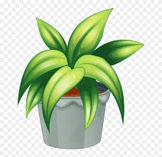 Pot Plant Clipart Botany - Flowering Plant And Non Flowering Plant - Free Transparent PNG Clipart Images Download