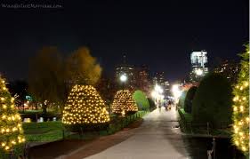 christmas lights of boston wander
